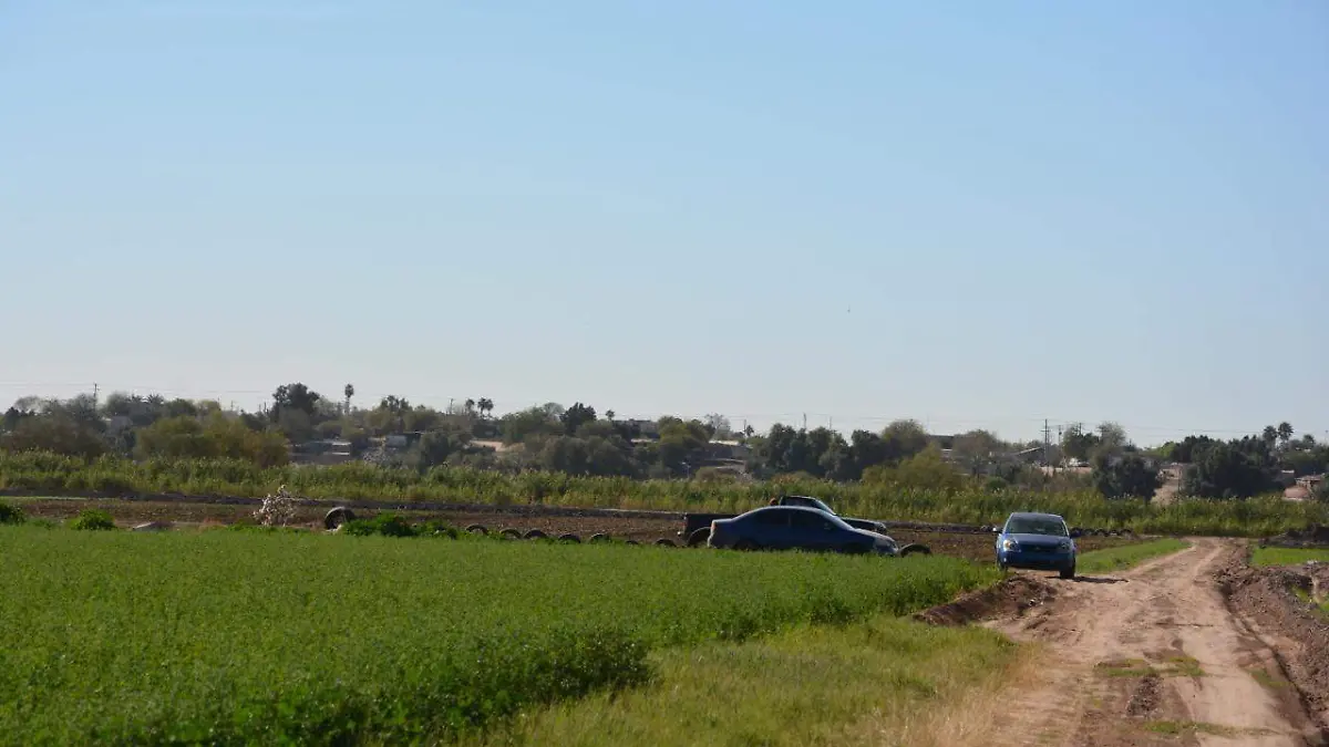 invasión de terreno